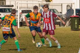 Image result for Warwick Wolves