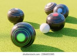 Image result for Lawns The Indoor Bowls Club