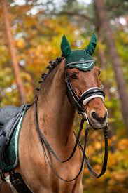 Image result for Patchett`s Green Riding Club