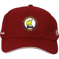 Image result for Gosport Borough Cc