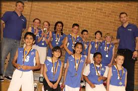 Image result for Kingston Wildcats Basketball Club
