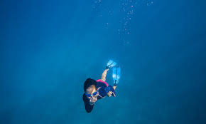 Image result for Blue Water Freediving School