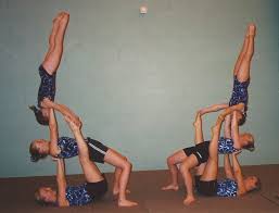 Image result for Maple Gymnastics Club