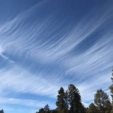 Attēlu rezultāti vaicājumam “Cirrus fibratus”