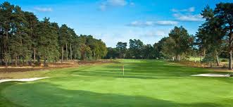 Image result for Blackmoor Golf Club