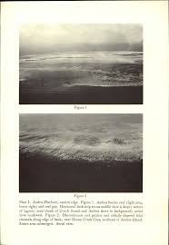 Image result for платформа Андрос