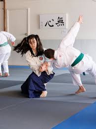 Image result for Newcastle Aikido Club