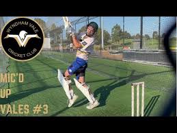 Image result for Wandham Cricket Club