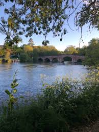 Image result for Kempsey Cc