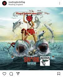 Image result for Chichester Sharks