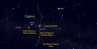 Attēlu rezultāti vaicājumam “Cygnus”