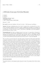 Attēlu rezultāti vaicājumam “Physarum nitens”