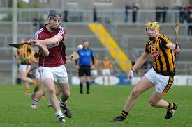 Image result for hurling