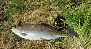 Image result for Segdoune Flyfishers` Angling Club