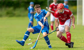 Image result for Kilmallie Shinty Club