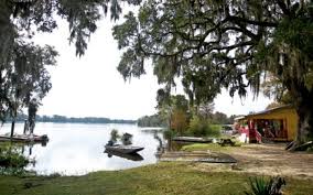 Image result for Backwell Sc