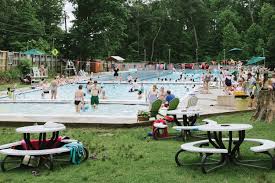 Image result for Fry Club