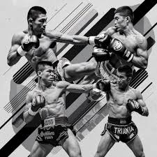 Image result for Petch Yin Dee International Muay Thai Boxing Camp