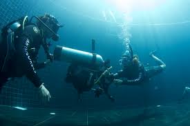 Image result for Divemaster Scuba