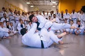 Image result for Universal Judo Academies
