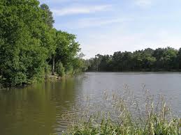 Image result for Holmbush Paintball, West Sussex