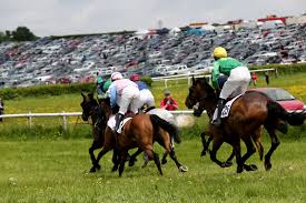 Image result for Chaddesley Corbett Sports Club