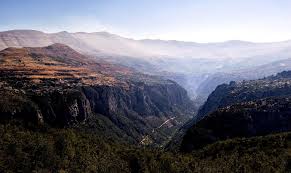 Attēlu rezultāti vaicājumam “Libanotis montana”