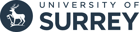 Image result for University Of Surrey
