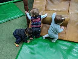 Image result for Sutcliffe Park Sports Centre