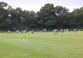 Image result for Bishops Waltham Cricket Club