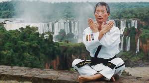 Image result for ATA Martial Arts Mobile