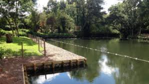 Image result for Chalfont Park Canoe Club