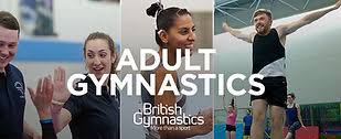Image result for Hinckley Gymnastics Club