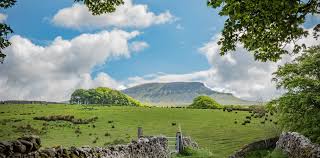 Image result for PENYGHENT GUN CLUB