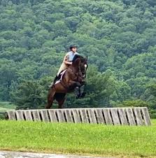 Image result for North Lammermuir Riding Club