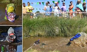 Image result for Bog Snorkelling Championships