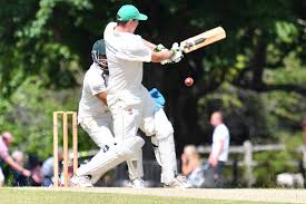 Image result for Forest Green Cricket Club