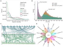Attēlu rezultāti vaicājumam “Pohlia nutans”