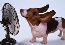 Stay Cool