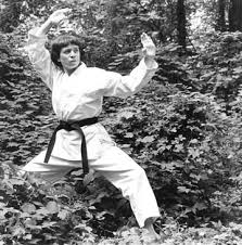 Image result for Ji Shin Do Karate