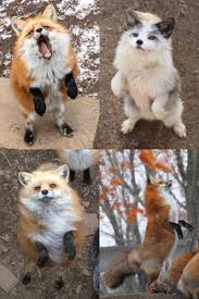 MYLOVER_RAMUNA에 대한 이미지 검색결과