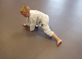 Image result for middlesbrough karate academy