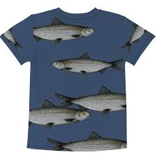 Image result for Coregonus lavaretus