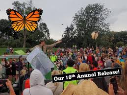 Image result for Cambridge Monarchs