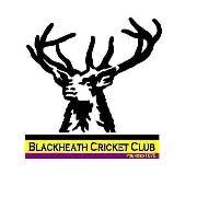Image result for Liphook & Ripsley Cc
