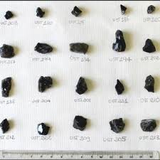 Attēlu rezultāti vaicājumam “Craterium aureonucleatum”