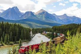 Résultat de recherche d'images pour "morant's curve"