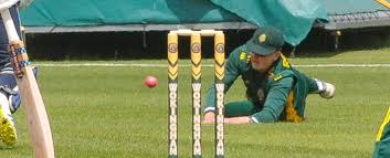 Image result for Checkendon Cricket Club