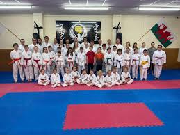 Image result for Swansea Taekwondo Club