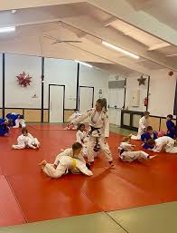 Image result for Croydon Judo Club